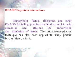 DNA/RNA-protein interactions
Transcription factors, ribosomes and other
DNA/RNA-binding proteins can bind to nucleic acid
sequences and influence the transcription
and translation of genes. The immunoprecipitation
technique has also been applied to study protein
binding sites on RNA.
 