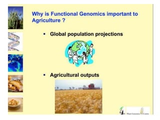 Functional genomics