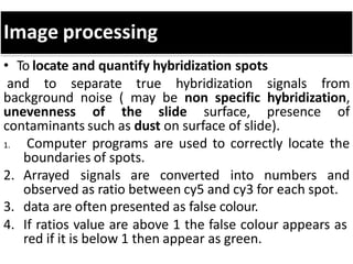 Image processing
• To locate and quantify hybridization spots
and to separate true hybridization signals from
background noise ( may be non specific hybridization,
unevenness of the slide surface, presence of
contaminants such as dust on surface of slide).
1. Computer programs are used to correctly locate the
boundaries of spots.
2. Arrayed signals are converted into numbers and
observed as ratio between cy5 and cy3 for each spot.
3. data are often presented as false colour.
4. If ratios value are above 1 the false colour appears as
red if it is below 1 then appear as green.
 