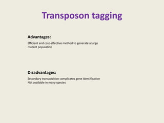 Transposon tagging
Advantages:
Efficient and cost-effective method to generate a large
mutant population
Disadvantages:
Secondary transposition complicates gene identification
Not available in many species
 