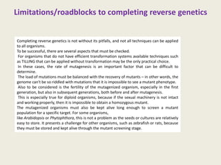 Limitations/roadblocks to completing reverse genetics
Completing reverse genetics is not without its pitfalls, and not all techniques can be applied
to all organisms.
To be successful, there are several aspects that must be checked.
For organisms that do not have efficient transformation systems available techniques such
as TILLING that can be applied without transformation may be the only practical choice.
In these cases, the rate of mutagenesis is an important factor that can be difficult to
determine.
The load of mutations must be balanced with the recovery of mutants – in other words, the
genome can't be so riddled with mutations that it is impossible to see a mutant phenotype.
Also to be considered is the fertility of the mutagenized organism, especially in the first
generation, but also in subsequent generations, both before and after mutagenesis.
This is especially true for diploid organisms, because if the sexual machinery is not intact
and working properly, then it is impossible to obtain a homozygous mutant.
The mutagenized organisms must also be kept alive long enough to screen a mutant
population for a specific target. For some organisms,
like Arabidopsis or Phytophthora, this is not a problem as the seeds or cultures are relatively
easy to store. It presents a challenge for other organisms, such as zebrafish or rats, because
they must be stored and kept alive through the mutant screening stage.
 