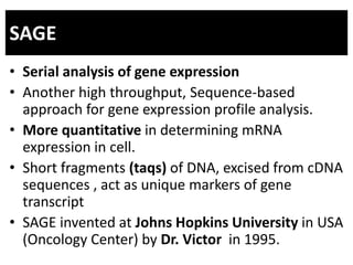 SAGE
• Serial analysis of gene expression
• Another high throughput, Sequence-based
approach for gene expression profile analysis.
• More quantitative in determining mRNA
expression in cell.
• Short fragments (taqs) of DNA, excised from cDNA
sequences , act as unique markers of gene
transcript
• SAGE invented at Johns Hopkins University in USA
(Oncology Center) by Dr. Victor in 1995.
 