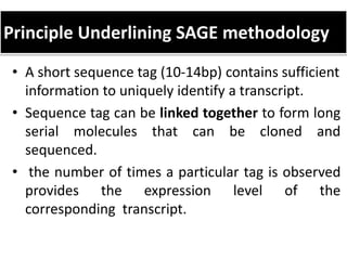 Principle Underlining SAGE methodology
• A short sequence tag (10-14bp) contains sufficient
information to uniquely identify a transcript.
• Sequence tag can be linked together to form long
serial molecules that can be cloned and
sequenced.
• the number of times a particular tag is observed
provides the expression level of the
corresponding transcript.
 