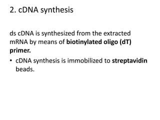 2. cDNA synthesis
ds cDNA is synthesized from the extracted
mRNA by means of biotinylated oligo (dT)
primer.
• cDNA synthesis is immobilized to streptavidin
beads.
 
