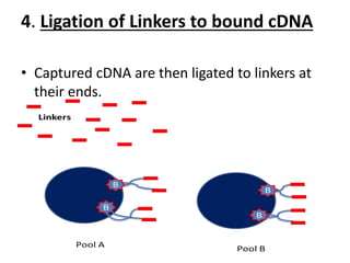 4. Ligation of Linkers to bound cDNA
• Captured cDNA are then ligated to linkers at
their ends.
 