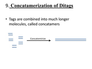 9. Concatamerization of Ditags
• Tags are combined into much longer
molecules, called concatamers
 