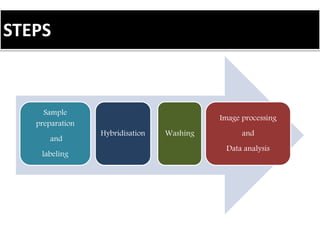 STEPS
Sample
preparation
and
labeling
Hybridisation Washing
Image processing
and
Data analysis
 