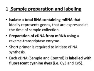 1 .Sample preparation and labeling
• Isolate a total RNA containing mRNA that
ideally represents genes, that are expressed at
the time of sample collection.
• Preparation of cDNA from mRNA using a
reverse-transcriptase enzyme.
• Short primer is required to initiate cDNA
synthesis.
• Each cDNA (Sample and Control) is labelled with
fluorescent cyanine dyes (i.e. Cy3 and Cy5).
 