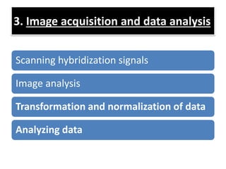3. Image acquisition and data analysis
Scanning hybridization signals
Image analysis
Transformation and normalization of data
Analyzing data
 