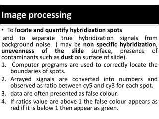 Image processing
• To locate and quantify hybridization spots
and to separate true hybridization signals from
background noise ( may be non specific hybridization,
unevenness of the slide surface, presence of
contaminants such as dust on surface of slide).
1. Computer programs are used to correctly locate the
boundaries of spots.
2. Arrayed signals are converted into numbers and
observed as ratio between cy5 and cy3 for each spot.
3. data are often presented as false colour.
4. If ratios value are above 1 the false colour appears as
red if it is below 1 then appear as green.
 