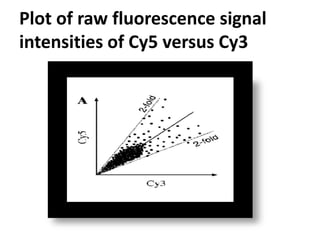 Plot of raw fluorescence signal
intensities of Cy5 versus Cy3
 