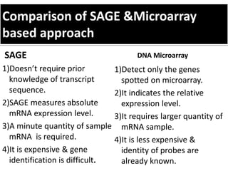 Comparison of SAGE &Microarray
based approach
SAGE
1)Doesn’t require prior
knowledge of transcript
sequence.
2)SAGE measures absolute
mRNA expression level.
3)A minute quantity of sample
mRNA is required.
4)It is expensive & gene
identification is difficult.
1)Detect only the genes
spotted on microarray.
2)It indicates the relative
expression level.
3)It requires larger quantity of
mRNA sample.
4)It is less expensive &
identity of probes are
already known.
DNA Microarray
 