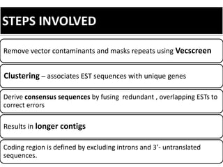 STEPS INVOLVED
Remove vector contaminants and masks repeats using Vecscreen
Clustering – associates EST sequences with unique genes
Derive consensus sequences by fusing redundant , overlapping ESTs to
correct errors
Results in longer contigs
Coding region is defined by excluding introns and 3’- untranslated
sequences.
 