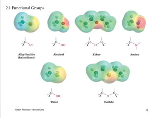 2.1 Functional Groups
 