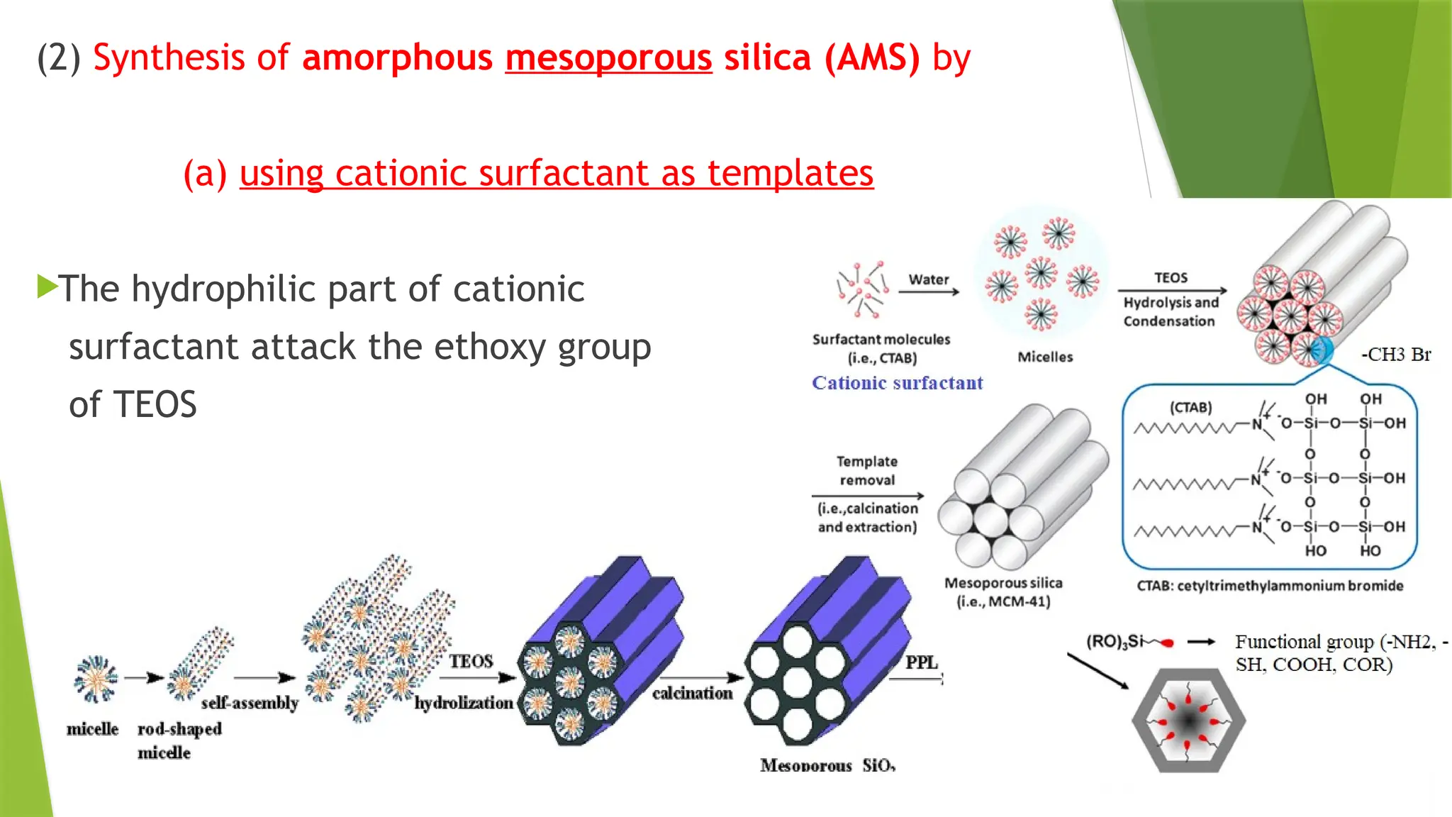Functionalized Silica surface functionalizatin 2024-2025.pptx