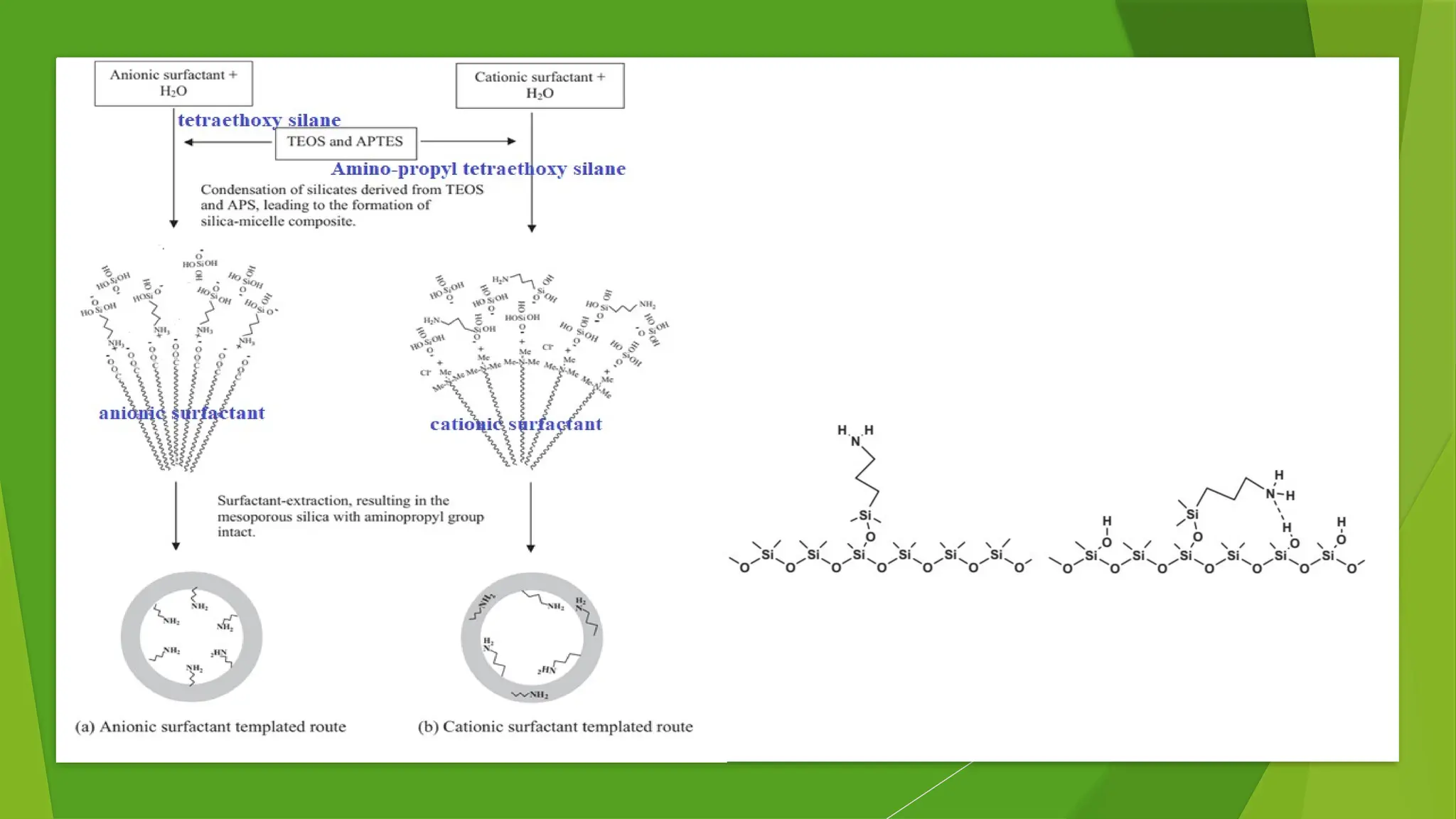 Functionalized Silica surface functionalizatin 2024-2025.pptx