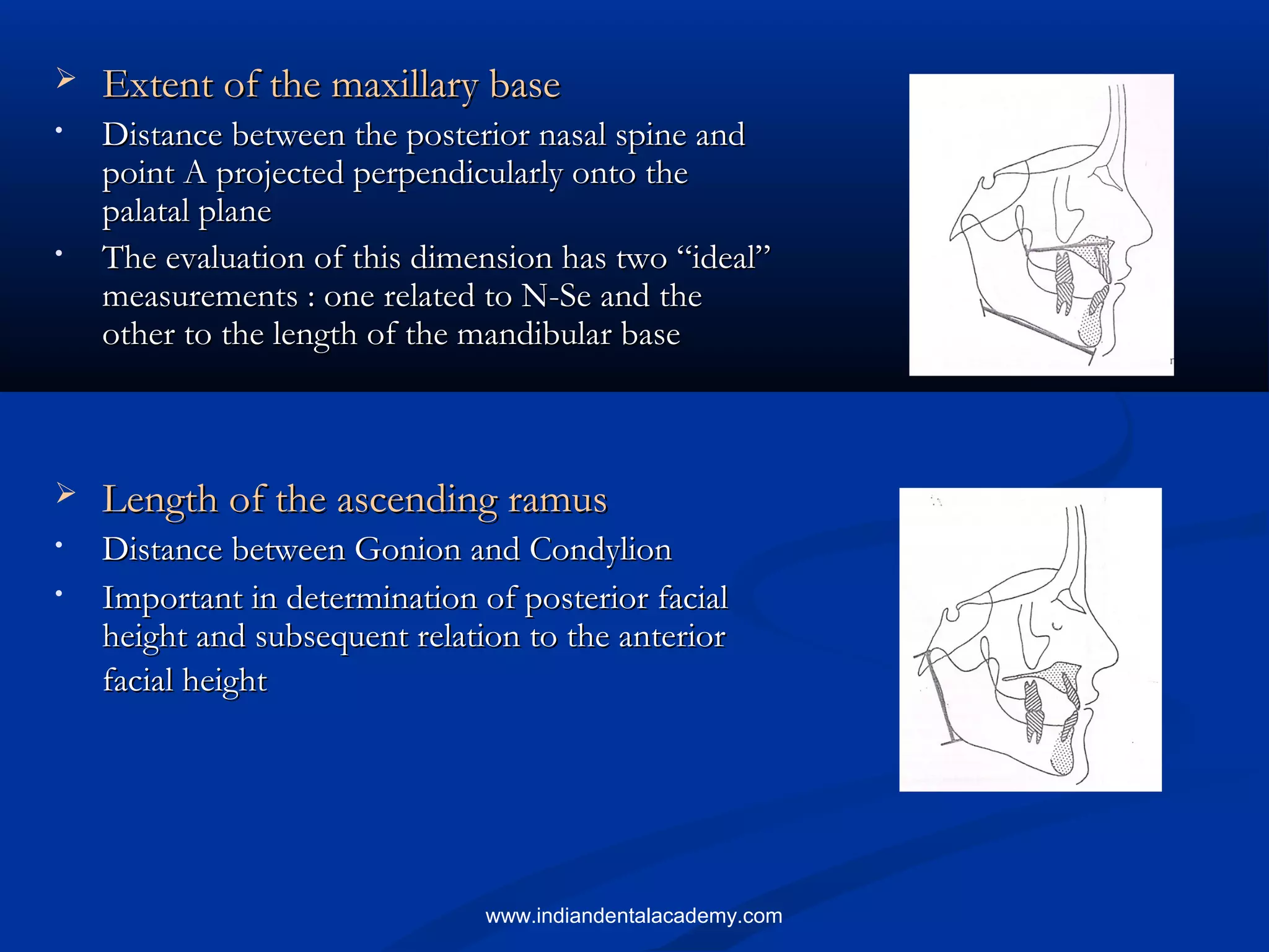  Extent of the maxillary baseExtent of the maxillary base
• Distance between the posterior nasal spine andDistance between the posterior nasal spine and
point A projected perpendicularly onto thepoint A projected perpendicularly onto the
palatal planepalatal plane
• The evaluation of this dimension has two “ideal”The evaluation of this dimension has two “ideal”
measurements : one related to N-Se and themeasurements : one related to N-Se and the
other to the length of the mandibular baseother to the length of the mandibular base
 Length of the ascending ramusLength of the ascending ramus
• Distance between Gonion and CondylionDistance between Gonion and Condylion
• Important in determination of posterior facialImportant in determination of posterior facial
height and subsequent relation to the anteriorheight and subsequent relation to the anterior
facial heightfacial height
www.indiandentalacademy.com
 