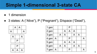9
Simple 1-dimensional 3-state CA
● 1 dimension
● 3 states: A (“Alive”), P (“Pregnant”), D/space (“Dead”),
A A
A A
A A
P
P
A A A
1 gen P
2 gen A A A
3 gen A A A A
4 gen A P A
5 gen A A A
6 gen A A A A
7 gen A P A
 