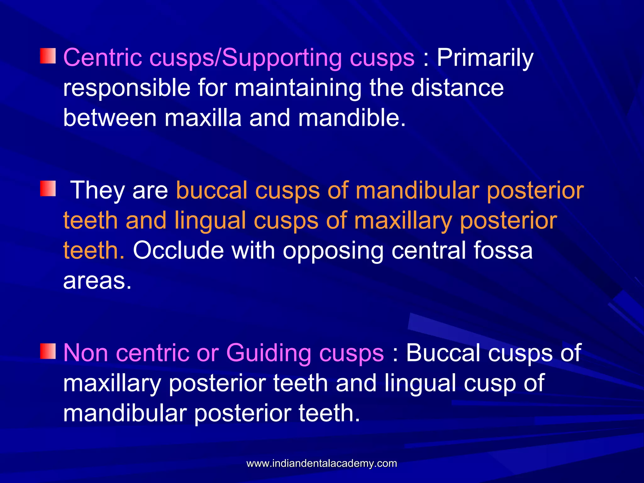 Centric cusps/Supporting cusps : Primarily
responsible for maintaining the distance
between maxilla and mandible.
They are buccal cusps of mandibular posterior
teeth and lingual cusps of maxillary posterior
teeth. Occlude with opposing central fossa
areas.
Non centric or Guiding cusps : Buccal cusps of
maxillary posterior teeth and lingual cusp of
mandibular posterior teeth.
www.indiandentalacademy.com

 