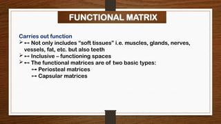 Functional Machine Matrix functional matrix hypothesis and revisitations.pptx