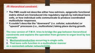 functional matrix hypothesis and revisitations.pptx