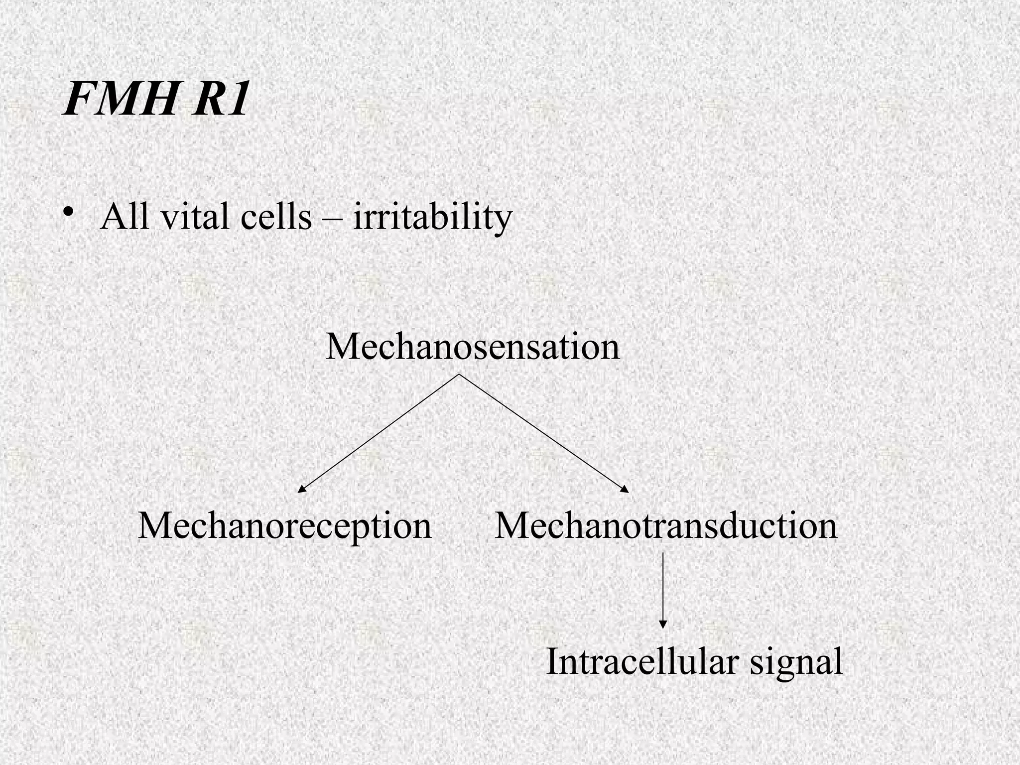 FMH R1
• All vital cells – irritability
Mechanosensation

Mechanoreception

Mechanotransduction
Intracellular signal

 