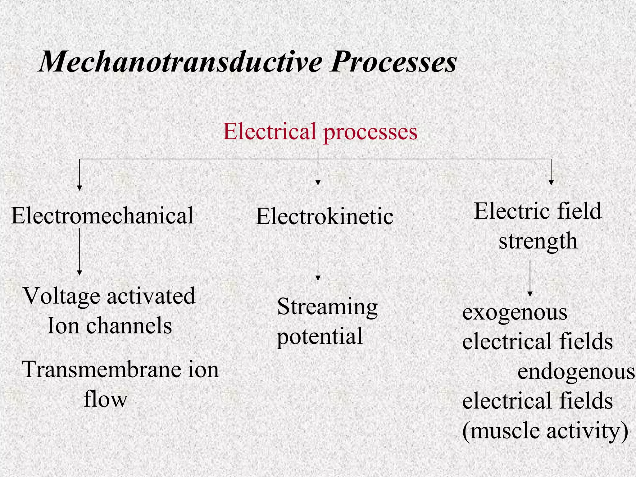 Mechanotransductive Processes
Electrical processes
Electromechanical

Electrokinetic

Voltage activated
Ion channels

Streaming
potential

Transmembrane ion
flow

Electric field
strength
exogenous
electrical fields
endogenous
electrical fields
(muscle activity)

 