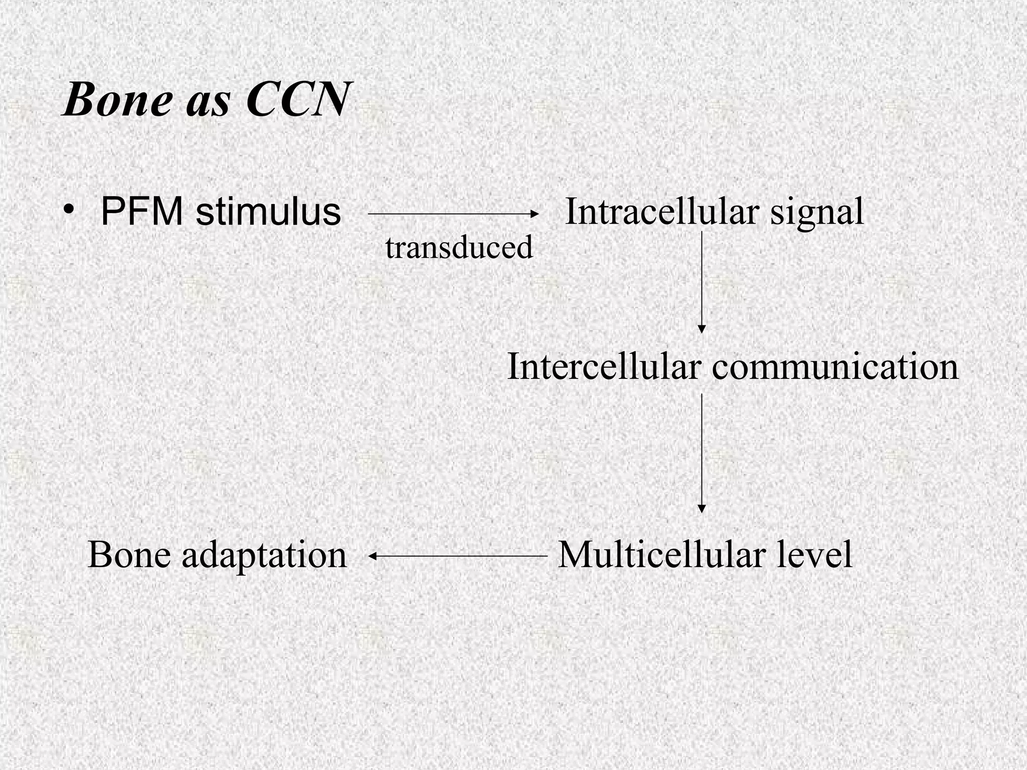 Bone as CCN
• PFM stimulus

transduced

Intracellular signal

Intercellular communication

Bone adaptation

Multicellular level

 