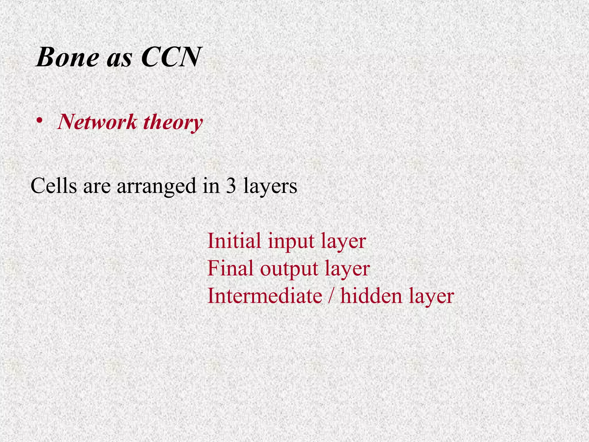 Bone as CCN
• Network theory
Cells are arranged in 3 layers
Initial input layer
Final output layer
Intermediate / hidden layer

 