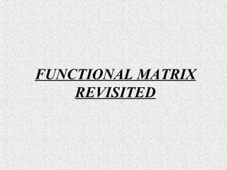 FUNCTIONAL MATRIX
REVISITED

 