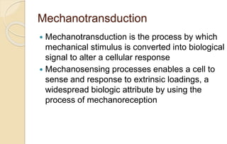 Mechanotransduction
 Mechanotransduction is the process by which
mechanical stimulus is converted into biological
signal to alter a cellular response
 Mechanosensing processes enables a cell to
sense and response to extrinsic loadings, a
widespread biologic attribute by using the
process of mechanoreception
 