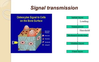 Signal transmission
 