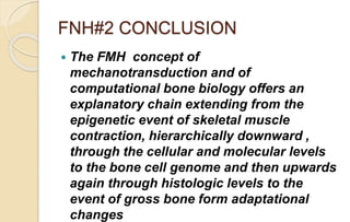 FNH#2 CONCLUSION
 The FMH concept of
mechanotransduction and of
computational bone biology offers an
explanatory chain extending from the
epigenetic event of skeletal muscle
contraction, hierarchically downward ,
through the cellular and molecular levels
to the bone cell genome and then upwards
again through histologic levels to the
event of gross bone form adaptational
changes
 