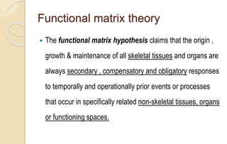 Functional matrix theory
 The functional matrix hypothesis claims that the origin ,
growth & maintenance of all skeletal tissues and organs are
always secondary , compensatory and obligatory responses
to temporally and operationally prior events or processes
that occur in specifically related non-skeletal tissues, organs
or functioning spaces.
 