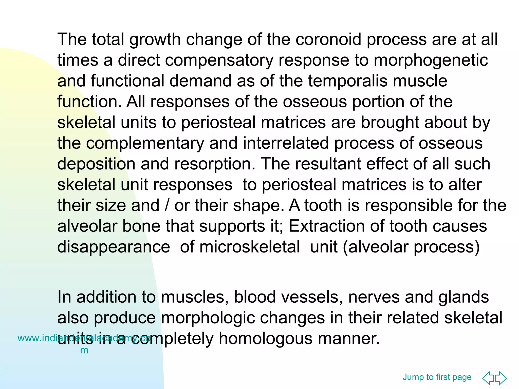Jump to first page
The total growth change of the coronoid process are at all
times a direct compensatory response to morphogenetic
and functional demand as of the temporalis muscle
function. All responses of the osseous portion of the
skeletal units to periosteal matrices are brought about by
the complementary and interrelated process of osseous
deposition and resorption. The resultant effect of all such
skeletal unit responses to periosteal matrices is to alter
their size and / or their shape. A tooth is responsible for the
alveolar bone that supports it; Extraction of tooth causes
disappearance of microskeletal unit (alveolar process)
In addition to muscles, blood vessels, nerves and glands
also produce morphologic changes in their related skeletal
units in a completely homologous manner.www.indiandentalacademy.co
m
 