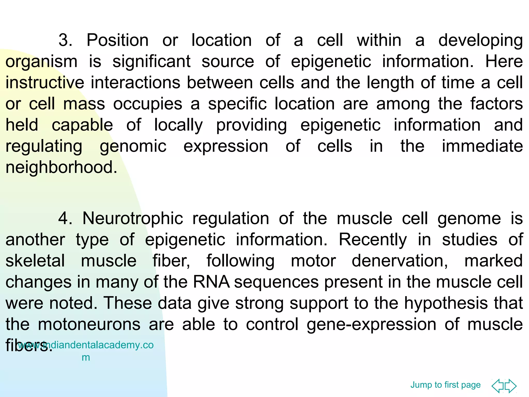 Jump to first page
3. Position or location of a cell within a developing
organism is significant source of epigenetic information. Here
instructive interactions between cells and the length of time a cell
or cell mass occupies a specific location are among the factors
held capable of locally providing epigenetic information and
regulating genomic expression of cells in the immediate
neighborhood.
4. Neurotrophic regulation of the muscle cell genome is
another type of epigenetic information. Recently in studies of
skeletal muscle fiber, following motor denervation, marked
changes in many of the RNA sequences present in the muscle cell
were noted. These data give strong support to the hypothesis that
the motoneurons are able to control gene-expression of muscle
fibers.www.indiandentalacademy.co
m
 