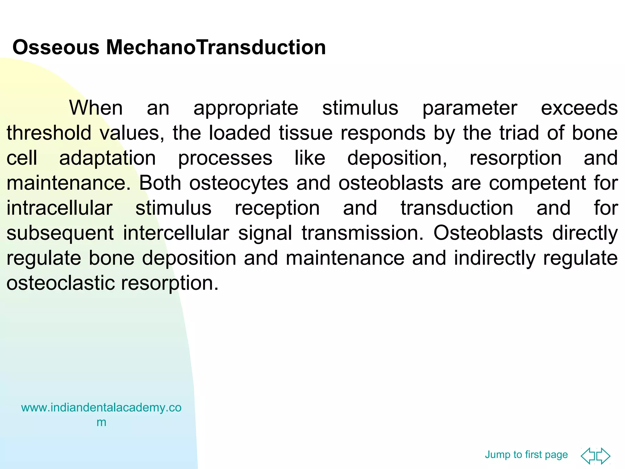 Jump to first page
Osseous MechanoTransduction
When an appropriate stimulus parameter exceeds
threshold values, the loaded tissue responds by the triad of bone
cell adaptation processes like deposition, resorption and
maintenance. Both osteocytes and osteoblasts are competent for
intracellular stimulus reception and transduction and for
subsequent intercellular signal transmission. Osteoblasts directly
regulate bone deposition and maintenance and indirectly regulate
osteoclastic resorption.
www.indiandentalacademy.co
m
 