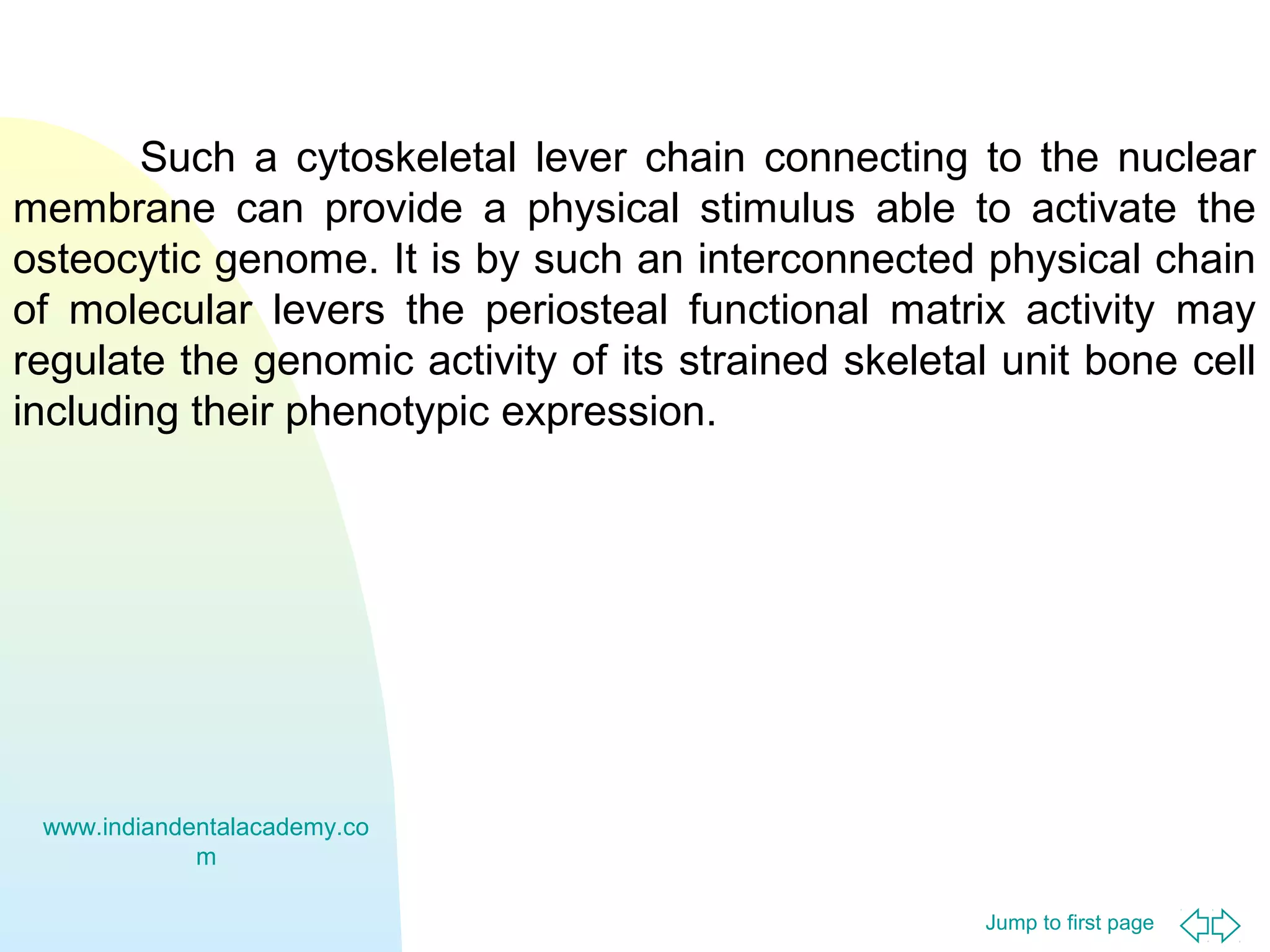 Jump to first page
Such a cytoskeletal lever chain connecting to the nuclear
membrane can provide a physical stimulus able to activate the
osteocytic genome. It is by such an interconnected physical chain
of molecular levers the periosteal functional matrix activity may
regulate the genomic activity of its strained skeletal unit bone cell
including their phenotypic expression.
www.indiandentalacademy.co
m
 