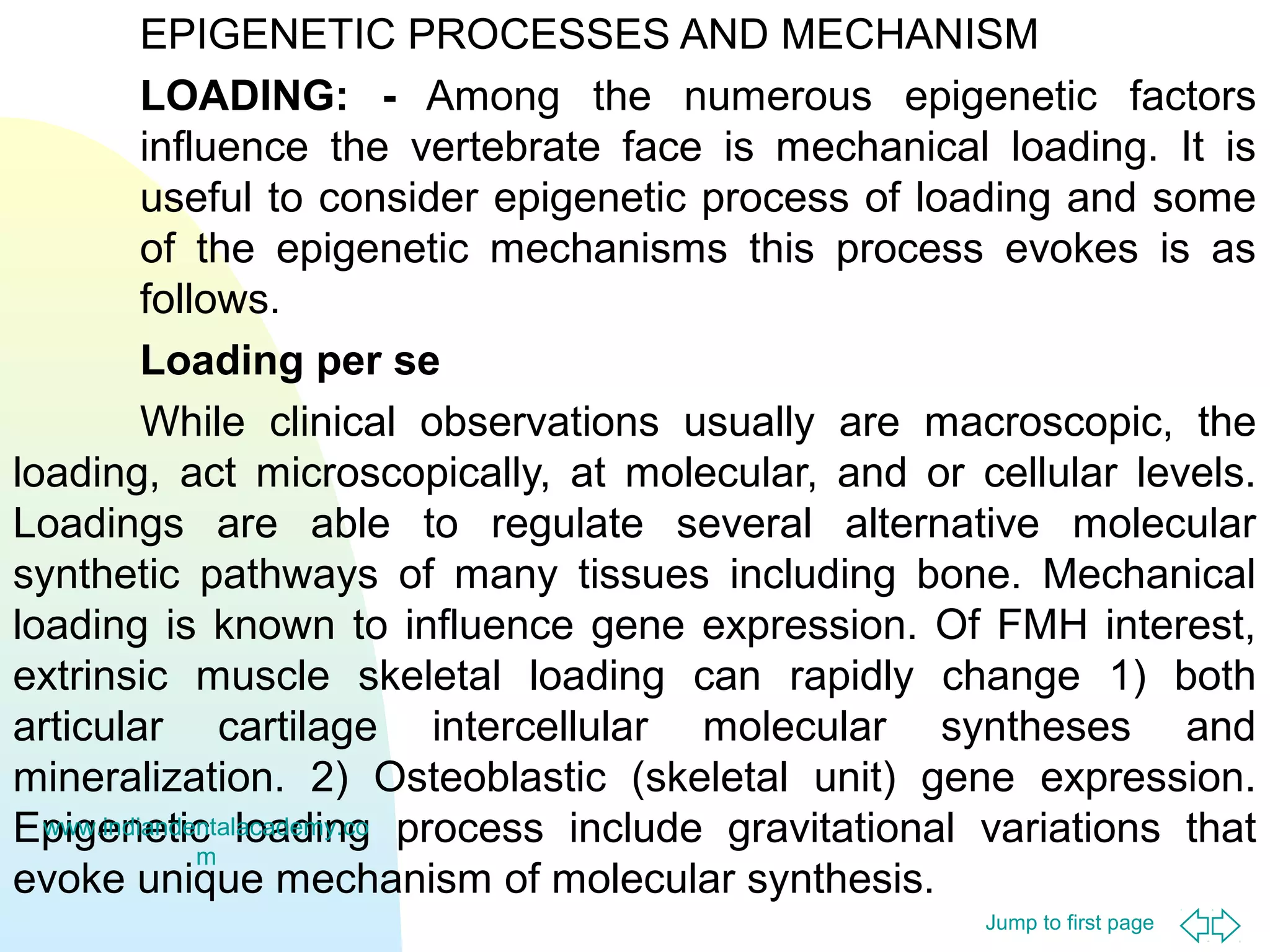 Jump to first page
EPIGENETIC PROCESSES AND MECHANISM
LOADING: - Among the numerous epigenetic factors
influence the vertebrate face is mechanical loading. It is
useful to consider epigenetic process of loading and some
of the epigenetic mechanisms this process evokes is as
follows.
Loading per se
While clinical observations usually are macroscopic, the
loading, act microscopically, at molecular, and or cellular levels.
Loadings are able to regulate several alternative molecular
synthetic pathways of many tissues including bone. Mechanical
loading is known to influence gene expression. Of FMH interest,
extrinsic muscle skeletal loading can rapidly change 1) both
articular cartilage intercellular molecular syntheses and
mineralization. 2) Osteoblastic (skeletal unit) gene expression.
Epigenetic loading process include gravitational variations that
evoke unique mechanism of molecular synthesis.
www.indiandentalacademy.co
m
 