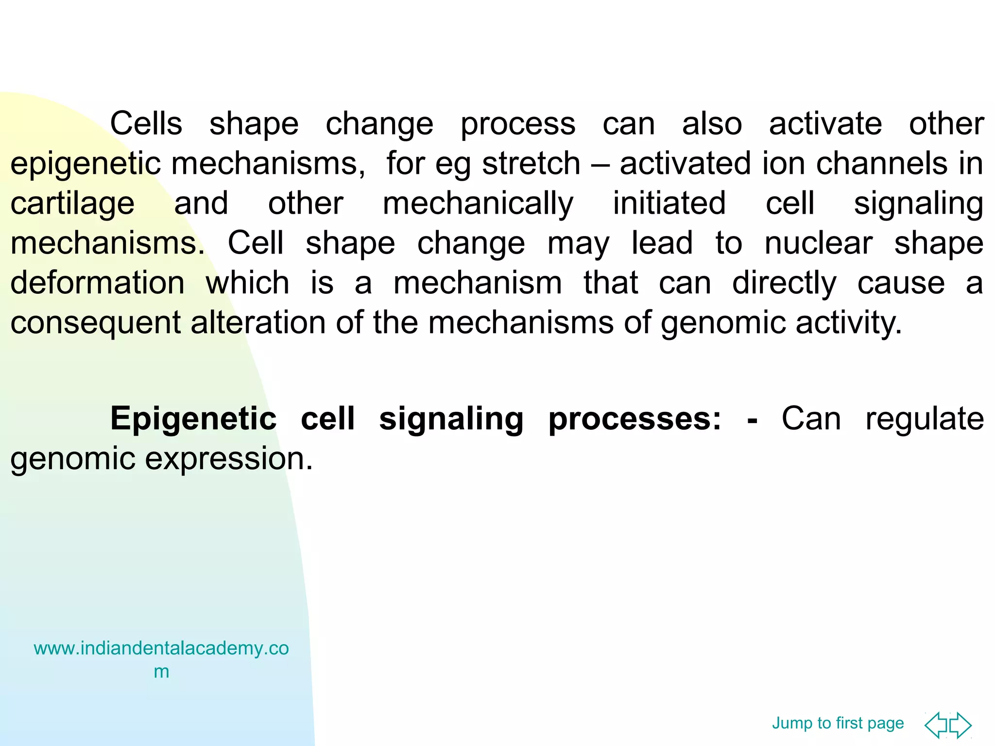 Jump to first page
Cells shape change process can also activate other
epigenetic mechanisms, for eg stretch – activated ion channels in
cartilage and other mechanically initiated cell signaling
mechanisms. Cell shape change may lead to nuclear shape
deformation which is a mechanism that can directly cause a
consequent alteration of the mechanisms of genomic activity.
Epigenetic cell signaling processes: - Can regulate
genomic expression.
www.indiandentalacademy.co
m
 