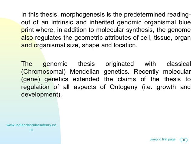 Sublinear algorithms ut austin image