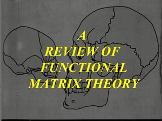 A
REVIEW OF
FUNCTIONAL
MATRIX THEORY
 