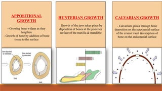 FUNCTIONAL MATRIX THEORY in orthodontics | PPTX