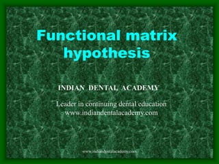 Functional matrix
hypothesis
www.indiandentalacademy.com
INDIAN DENTAL ACADEMY
Leader in continuing dental education
www.indiandentalacademy.com
 