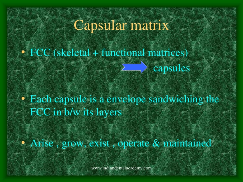 Functional matrix theory/certified fixed orthodontic courses by India…