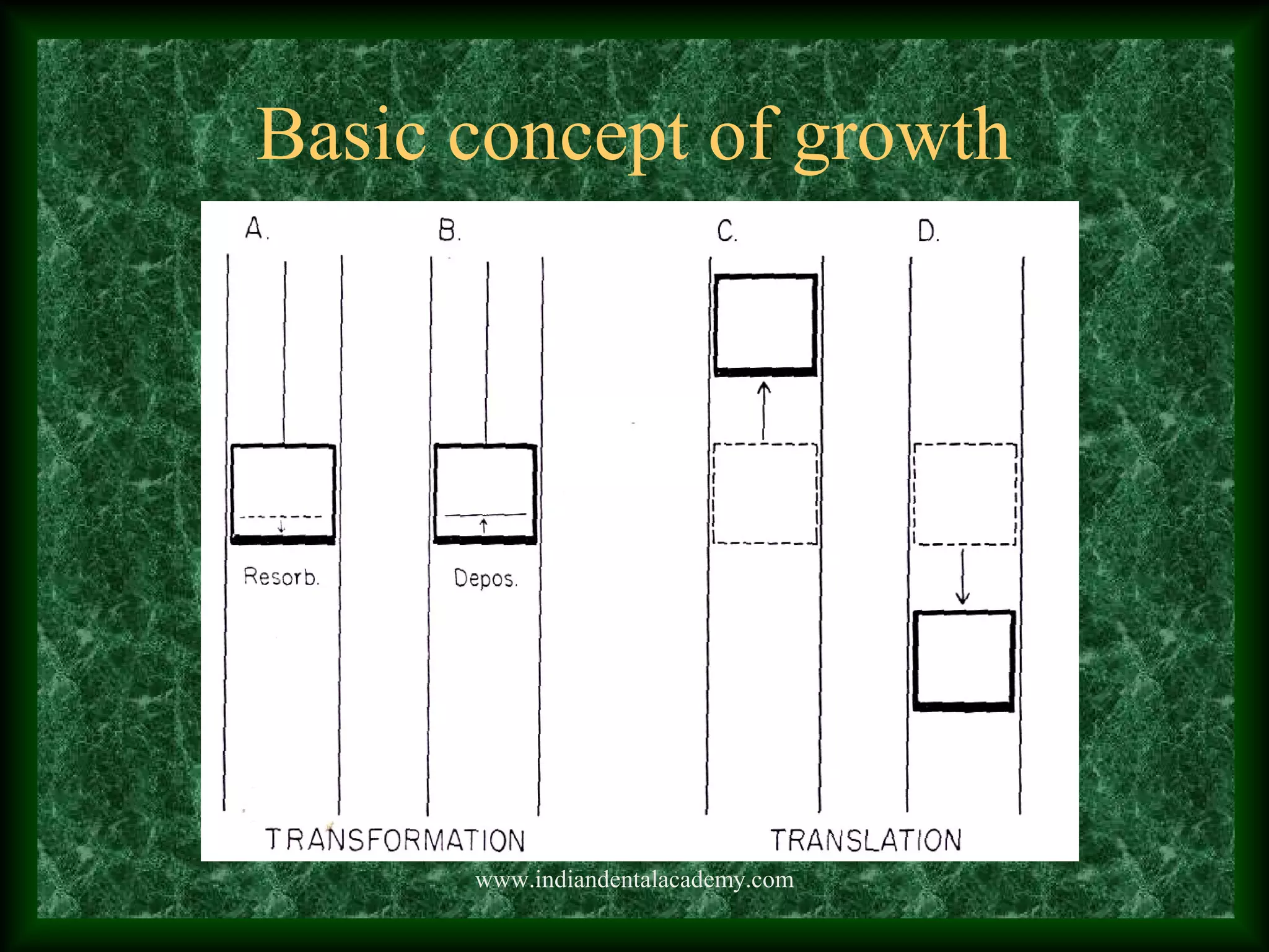 Basic concept of growth
www.indiandentalacademy.com
 