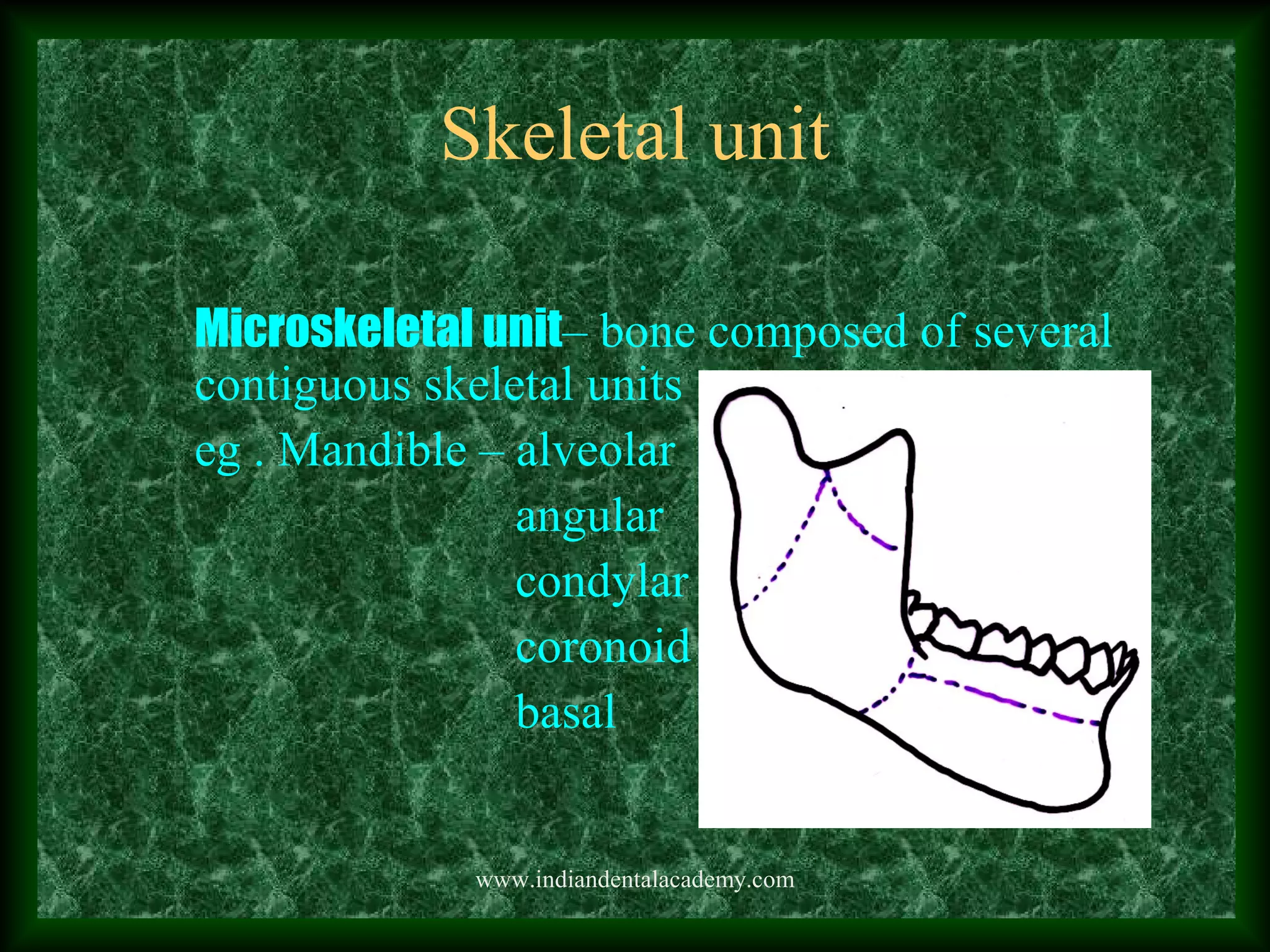 Skeletal unit
Microskeletal unit– bone composed of several
contiguous skeletal units
eg . Mandible – alveolar
angular
condylar
coronoid
basal
www.indiandentalacademy.com
 