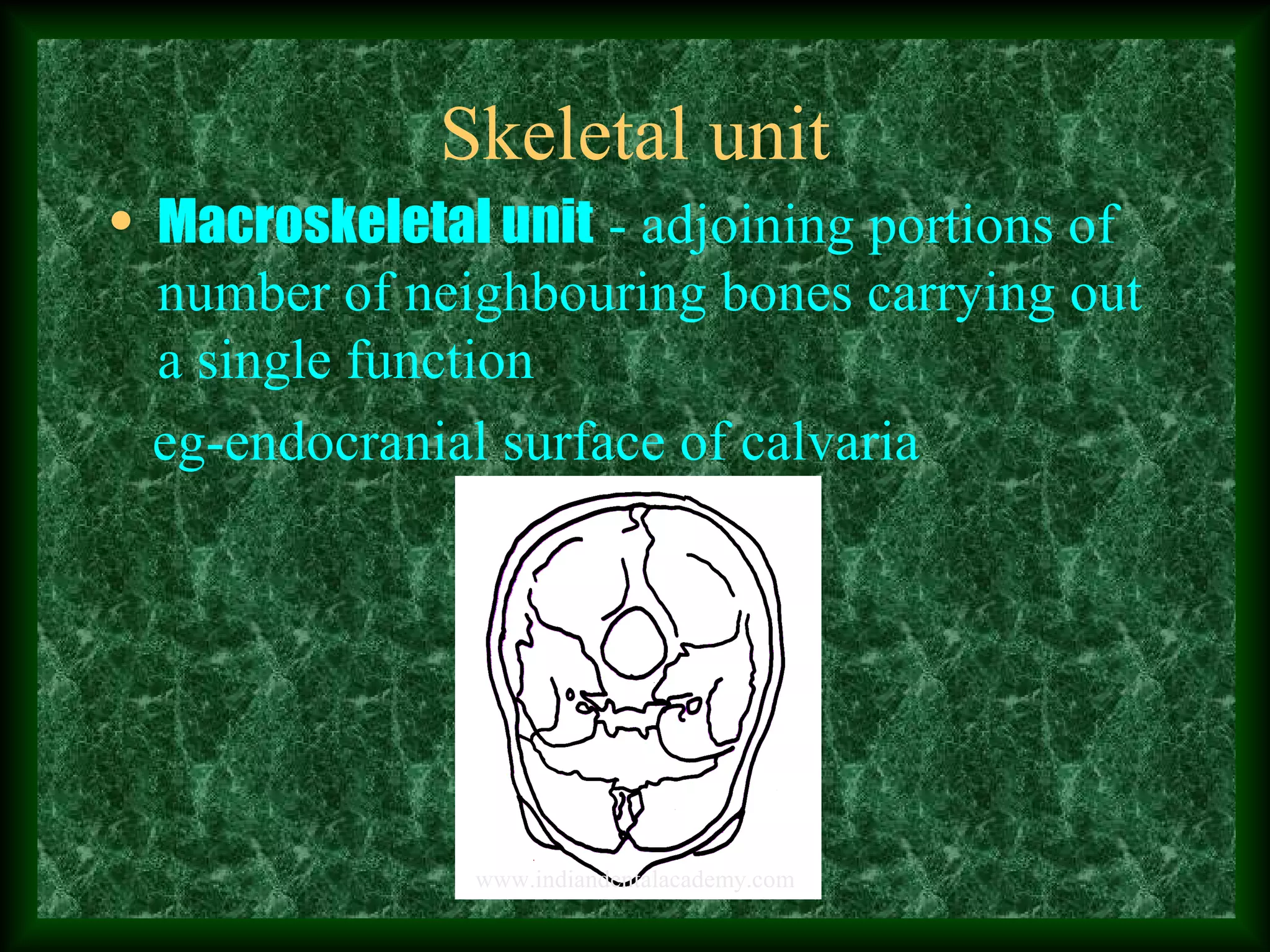 Skeletal unit
• Macroskeletal unit - adjoining portions of
number of neighbouring bones carrying out
a single function
eg-endocranial surface of calvaria
www.indiandentalacademy.com
 
