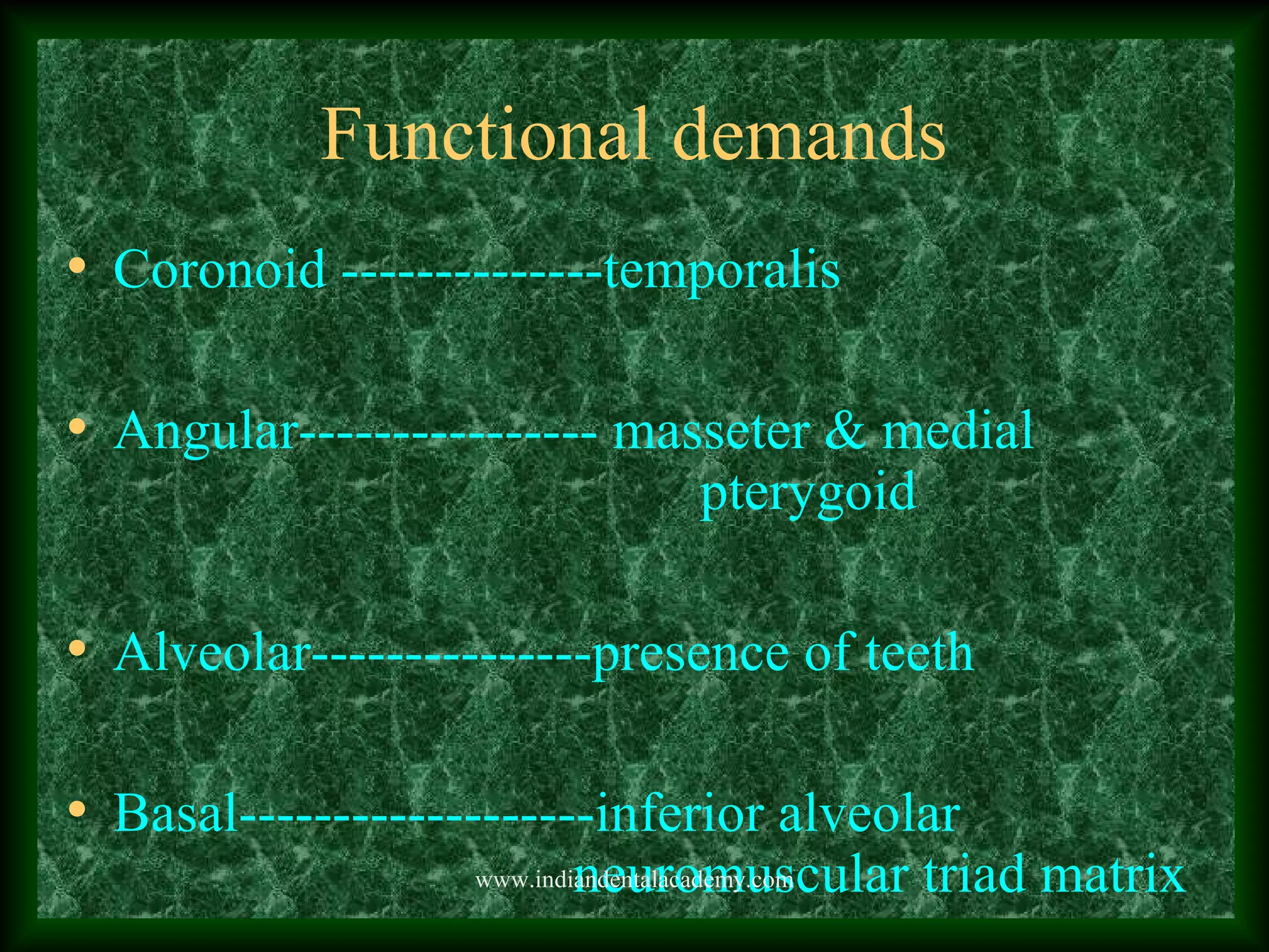 Functional demands
• Coronoid --------------temporalis
• Angular---------------- masseter & medial
pterygoid
• Alveolar---------------presence of teeth
• Basal-------------------inferior alveolar
neuromuscular triad matrixwww.indiandentalacademy.com
 