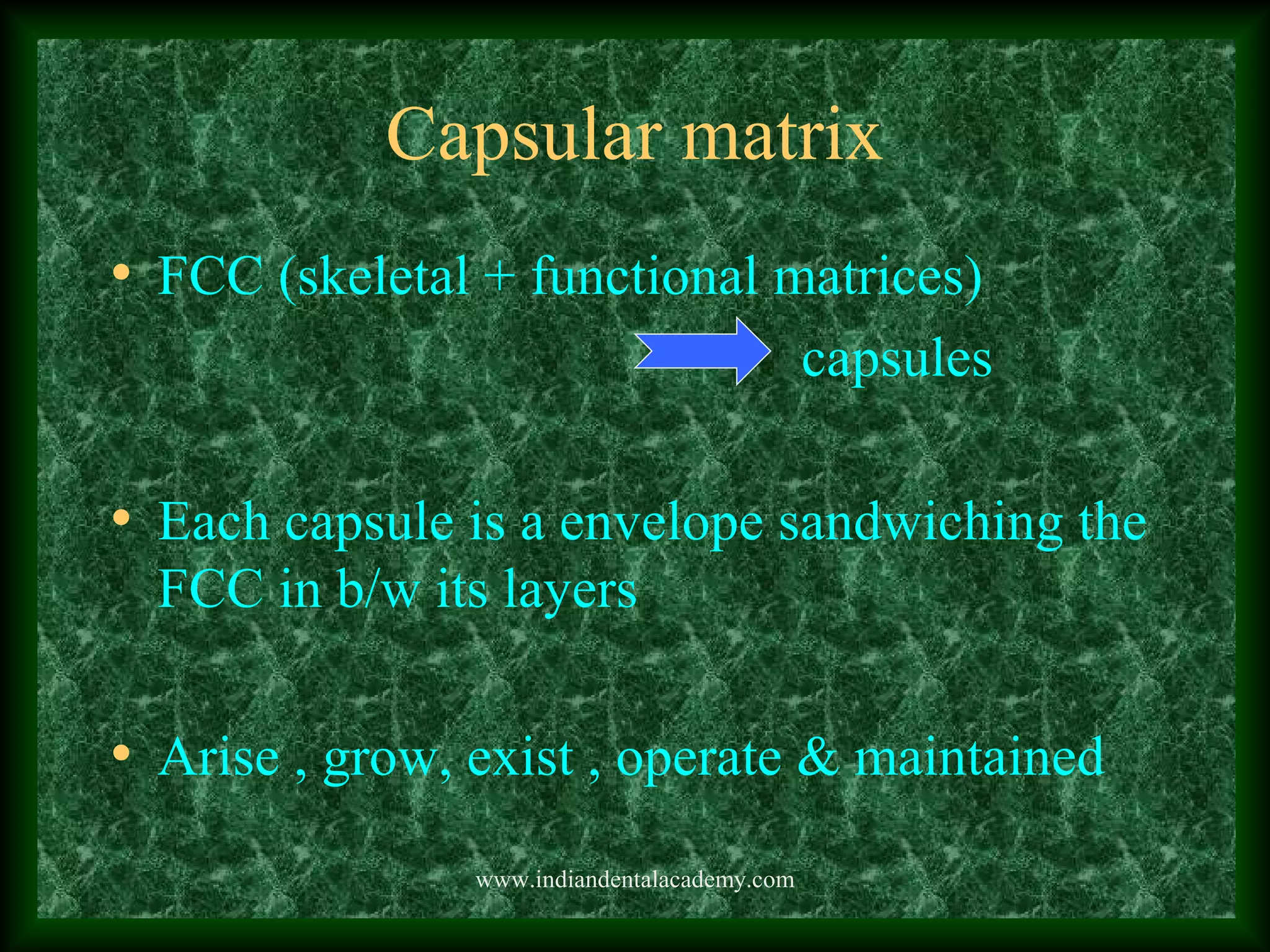 Capsular matrix
• FCC (skeletal + functional matrices)
capsules
• Each capsule is a envelope sandwiching the
FCC in b/w its layers
• Arise , grow, exist , operate & maintained
www.indiandentalacademy.com
 